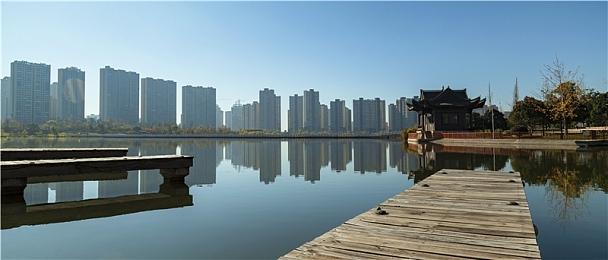 马斯克点赞反DEI游戏推文：没人想玩这些垃圾游戏