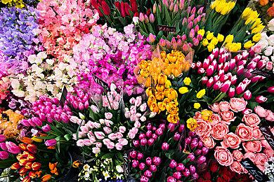 开放世界航海游戏《Sail Forth》突然全平台发售